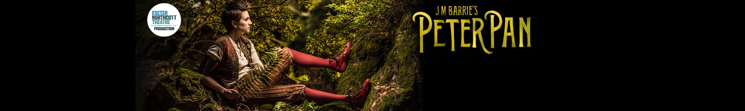 Peter Pan promotional poster
