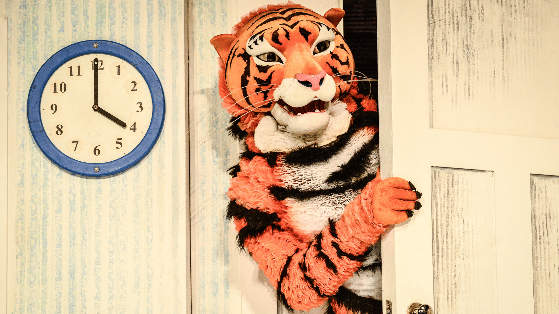 The Tiger Who Came to Tea production photo - An actor wearing a tiger costume peering around a white door. On the left is a clock with a blue edge on a white wall.