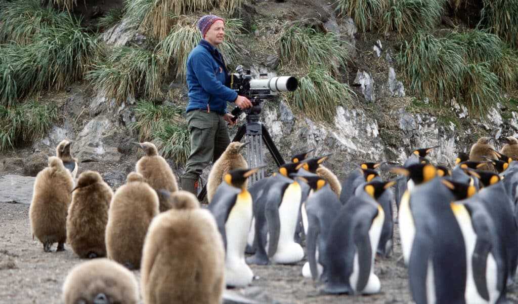Doug Allan, pictured here as a middle aged man wearing a blue fleece jacket and olive green trousers, operates a film camera with a long zoom lens while looking out over a large group of penguins in the South Antarctic.