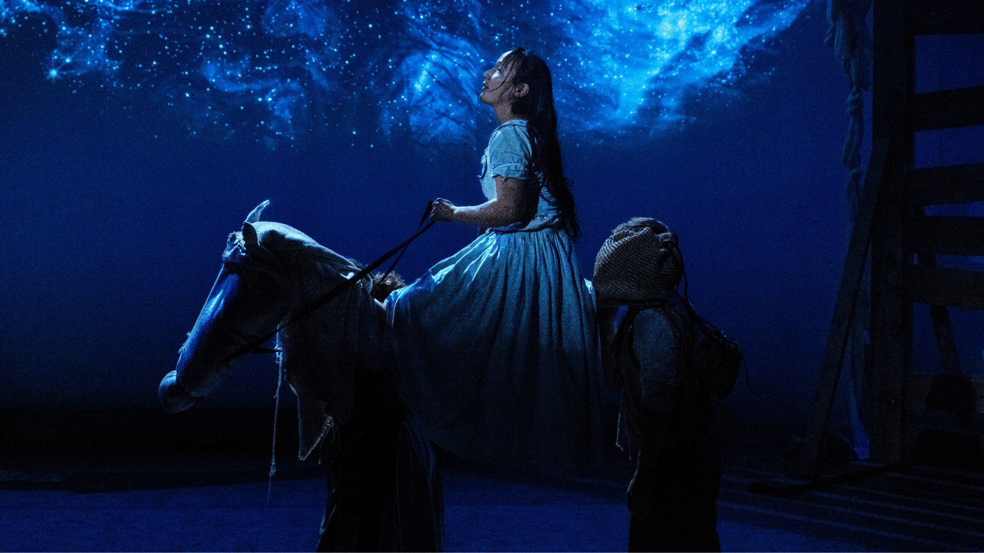 Tess production photo: a performer in a white, full-skirted dress with long, dark hair sits astride a horse made from cloth and looks at a swirling blue galaxy, projected above her.