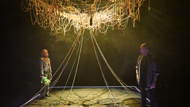 A man and woman stand on stage beneath a structure made of cables and wires which hang from the ceiling. Some of the wires trail down to the stage. The structure is lite up, creating shadows on the floor of the stage. The woman is holding a bunch of flowers.