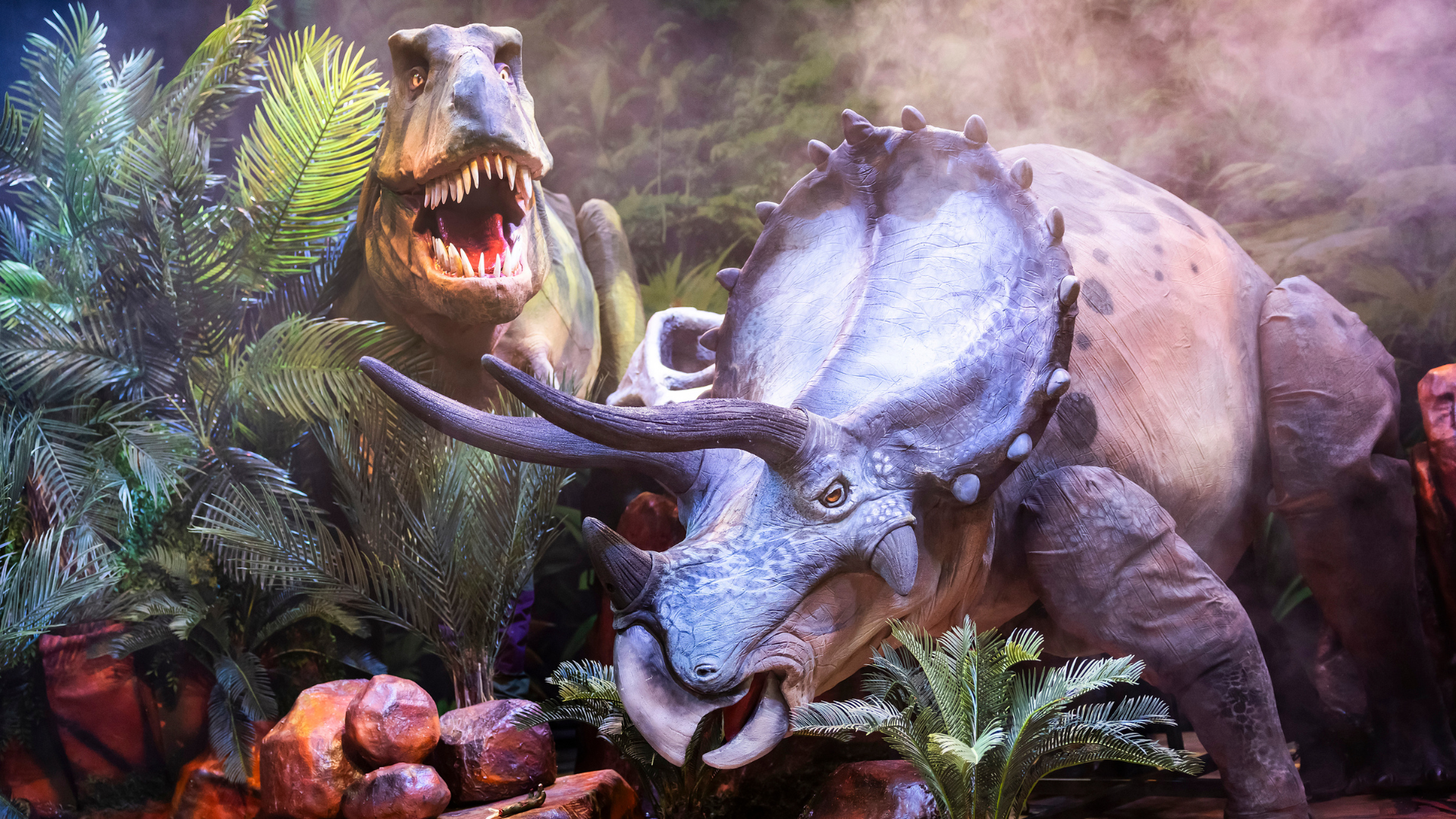 Natural History Museum presents Dinosaurs Live - Exeter Northcott