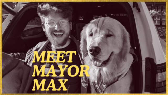 Black and white photo of a man and a golden retriever smiling at the camera; yellow text reads 'Meet Mayor Max'.