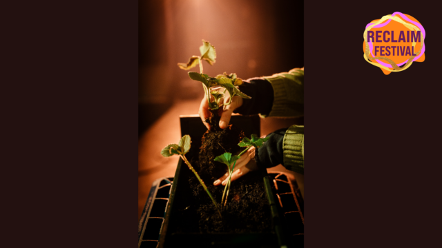 Image of someone's hands planting strawberries.